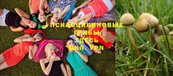 a pvp Дмитриев